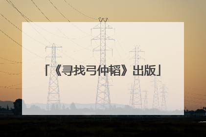 《寻找弓仲韬》出版