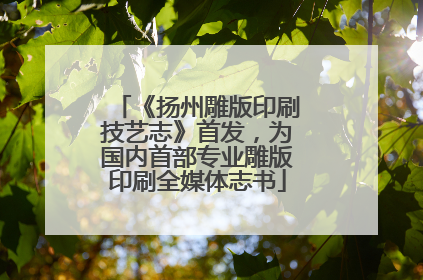 《扬州雕版印刷技艺志》首发，为国内首部专业雕版印刷全媒体志书