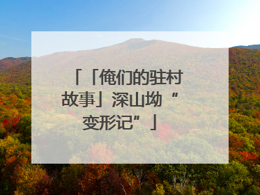 「俺们的驻村故事」深山坳“变形记”