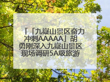 「九嶷山景区奋力冲刺AAAAA」胡勇刚深入九嶷山景区现场调研5A级旅游景区创建工作
