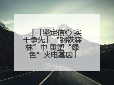 「坚定信心 实干争先」“钢铁森林”中 重塑“绿色”火电基因
