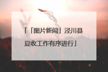 「图片新闻」泾川县夏收工作有序进行