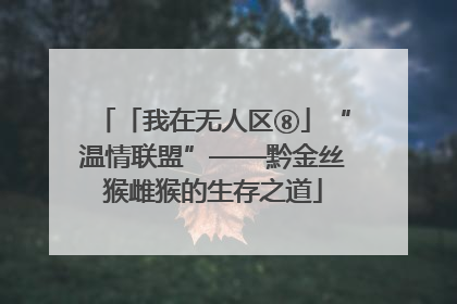 「我在无人区⑧」“温情联盟”——黔金丝猴雌猴的生存之道