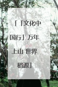 「文化中国行」万年上山 世界稻源
