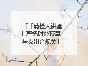 「清检大讲堂」严把财务预算与支出合规关