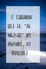 「蒲湖新语」让“友城之花”跨海向阳，尽情绽放