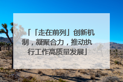 「走在前列」创新机制，凝聚合力，推动执行工作高质量发展