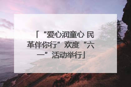 “爱心润童心 民革伴你行”欢度“六一”活动举行
