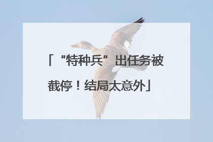 “特种兵”出任务被截停！结局太意外
