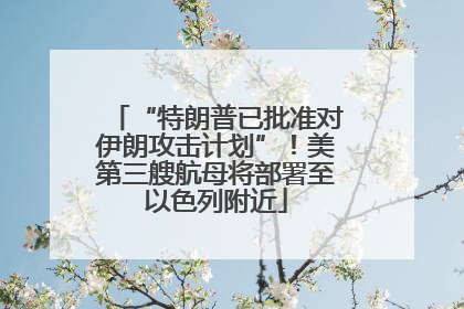 “特朗普已批准对伊朗攻击计划”！美第三艘航母将部署至以色列附近