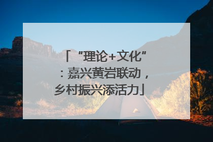 “理论+文化”：嘉兴黄岩联动，乡村振兴添活力