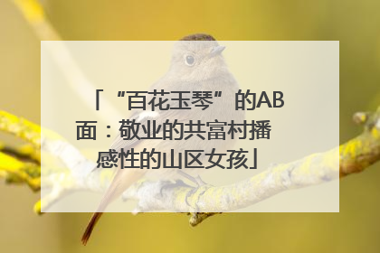 “百花玉琴”的AB面：敬业的共富村播 感性的山区女孩