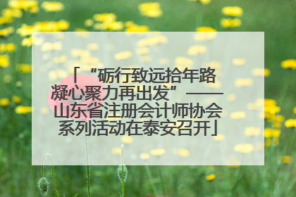 “砺行致远拾年路 凝心聚力再出发”——山东省注册会计师协会系列活动在泰安召开