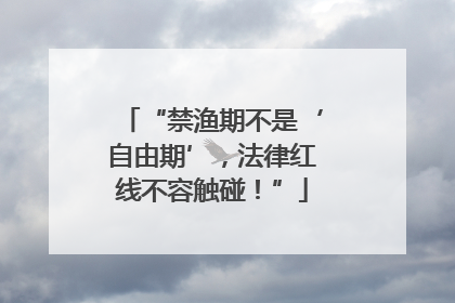 “禁渔期不是‘自由期’，法律红线不容触碰！”