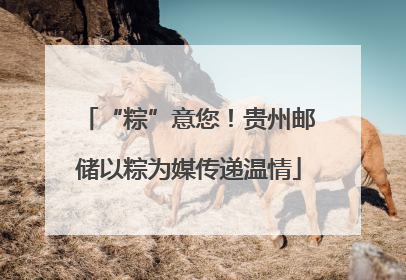 “粽”意您！贵州邮储以粽为媒传递温情
