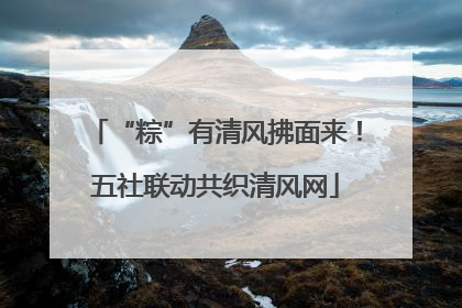 “粽”有清风拂面来！五社联动共织清风网