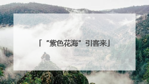“紫色花海”引客来