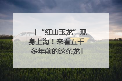 “红山玉龙”现身上海！来看五千多年前的这条龙