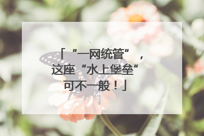 “一网统管”，这座“水上堡垒”可不一般！