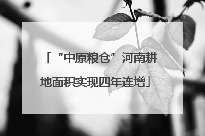 “中原粮仓”河南耕地面积实现四年连增