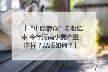 “中原粮仓”麦收结束 今年河南小麦产量咋样？品质如何？
