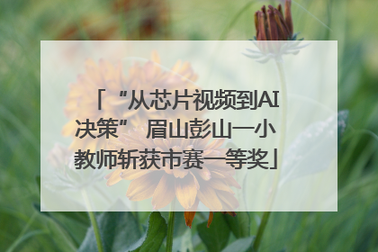 “从芯片视频到AI决策” 眉山彭山一小教师斩获市赛一等奖