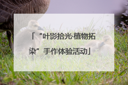 “叶影拾光·植物拓染”手作体验活动