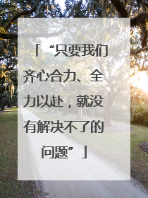 “只要我们齐心合力、全力以赴，就没有解决不了的问题”