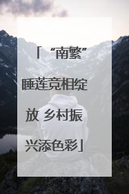 “南繁”睡莲竞相绽放 乡村振兴添色彩