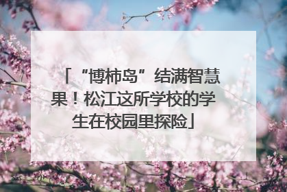 “博柿岛”结满智慧果！松江这所学校的学生在校园里探险