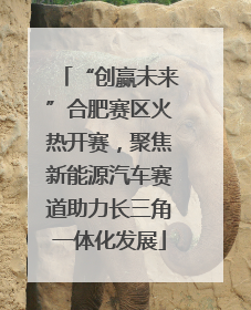 “创赢未来”合肥赛区火热开赛，聚焦新能源汽车赛道助力长三角一体化发展
