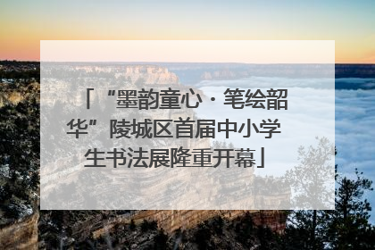 “墨韵童心・笔绘韶华”陵城区首届中小学生书法展隆重开幕