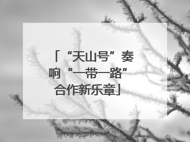 “天山号”奏响“一带一路”合作新乐章