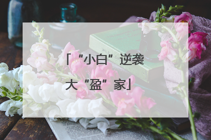 “小白”逆袭大“盈”家