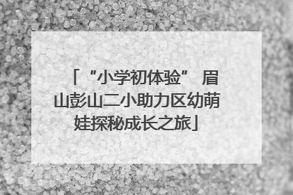 “小学初体验” 眉山彭山二小助力区幼萌娃探秘成长之旅