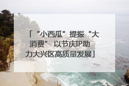 “小西瓜”提振“大消费” 以节庆IP助力大兴区高质量发展