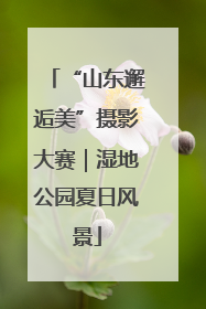 “山东邂逅美”摄影大赛｜湿地公园夏日风景