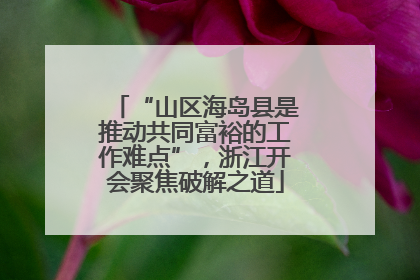 “山区海岛县是推动共同富裕的工作难点”，浙江开会聚焦破解之道
