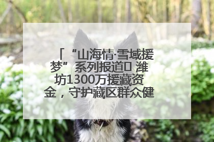 “山海情·雪域援梦”系列报道⑪ 潍坊1300万援藏资金，守护藏区群众健康“最后一公里”