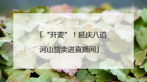 “开麦”！延庆八道河山货卖进直播间