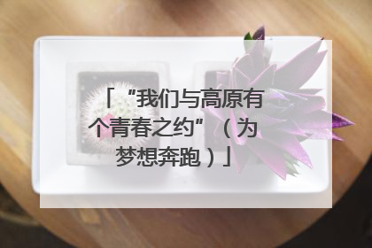 “我们与高原有个青春之约”（为梦想奔跑）