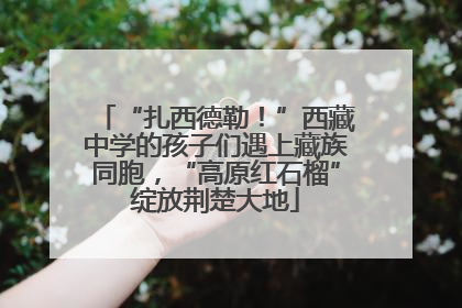 “扎西德勒！”西藏中学的孩子们遇上藏族同胞，“高原红石榴”绽放荆楚大地