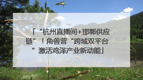 “杭州直播间+邯郸供应链”！角兽营“跨域双平台”激活鸡泽产业新动能