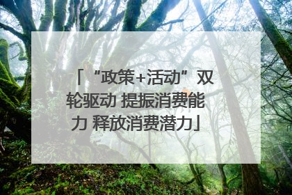 “政策+活动”双轮驱动 提振消费能力 释放消费潜力