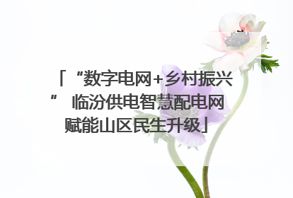 “数字电网+乡村振兴” 临汾供电智慧配电网赋能山区民生升级