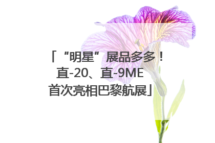 “明星”展品多多！直-20、直-9ME首次亮相巴黎航展
