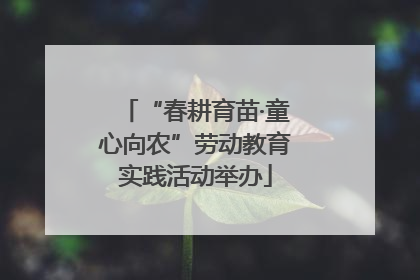 “春耕育苗·童心向农”劳动教育实践活动举办
