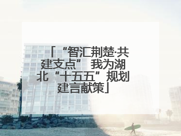 “智汇荆楚·共建支点” 我为湖北“十五五”规划建言献策