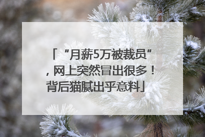 “月薪5万被裁员”，网上突然冒出很多！背后猫腻出乎意料