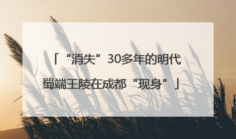 “消失”30多年的明代蜀端王陵在成都“现身”